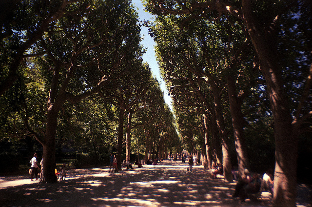 A park pathway taken on a Lomography La Sardina 