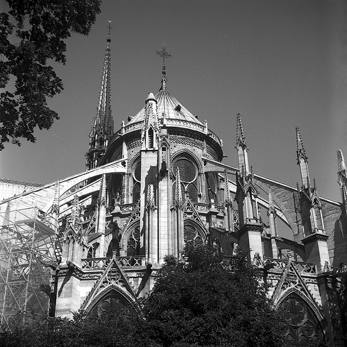 Notre Damme Cathedral, Paris in black and white
